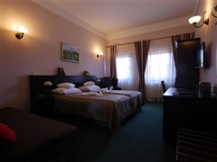 Camera dubla cu balcon Pensiunea Vis Alpin
