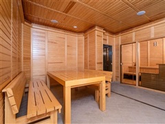 Hotel Festa Winter Palace  Borovets
