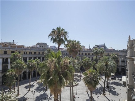 My Address In Plaza Real, Barcelona