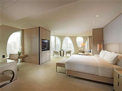 Junior Double Suite with access to the executive lounge - King bed