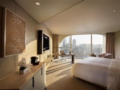 Premium Room with king bed and city views