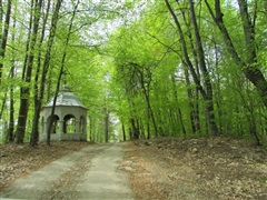 Outside