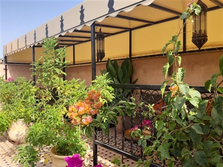 Riad Miral, Marrakech