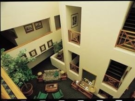 Don Suite Rosebank, Johannesburg