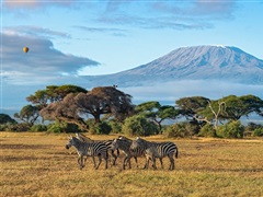 KENYA - Trio kenyan 4 2027 KST   Mombasa