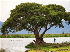 KENYA si TANZANIA 2027 KTS   Mombasa