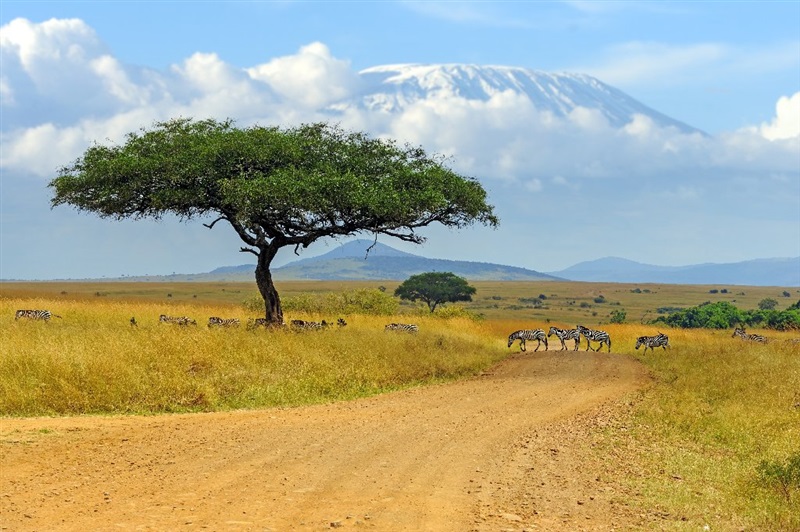 KENYA si TANZANIA 2027 KTS   Mombasa